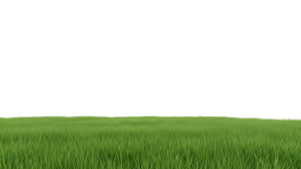 Lush Green Grass Field Under Clear Sky in Natural Outdoor Setting