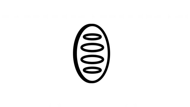 bread animated icon