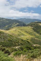 Naklejka premium ニュージーランド ウェリントンのスカイライン・ウォークウェイからの風景