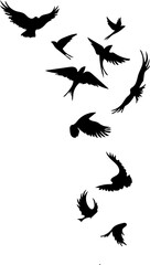 Obraz premium Abstract design of flying bird silhouettes forming a graceful curve, a symbol of freedom, change, and migration