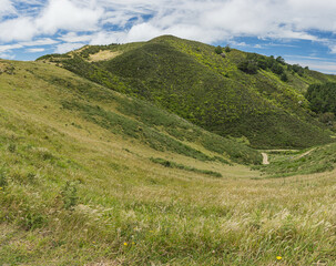 Fototapeta premium ニュージーランド ウェリントンのスカイライン・ウォークウェイからの風景
