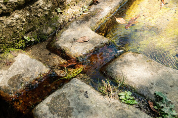 Clear, fresh spring water flowing into an old rustic stone trough in a sunny, quiet forest setting.