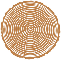 Fototapeta premium Detailed tree ring design showcasing growth, history, and natural organic textures