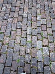 Cobblestone pavement with moss and grass. High-resolution close-up of weathered stone blocks in earthy tones, arranged in a classic pattern with greenery growing in the gaps.
