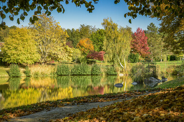 Lovely park with autumn colors