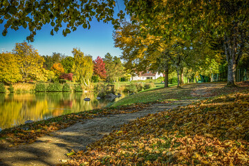 Lovely park with autumn colors