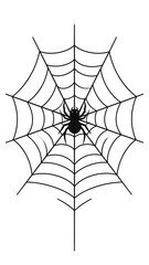 Obraz premium Silhouette illustration of a spider hanging in its web, against a plain white backdrop