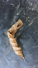 Dry Leaf with Natural Brown Texture on the Ground