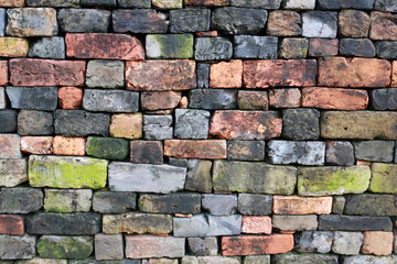Brick walls in various shades of red, gray, orange, and beige, sometimes covered with green mold. Wall and floor textures for a classic style.