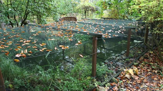 Einen Gartenteich mit einem Netz gegen Laub sch&uuml;tzen. Schwenk &uuml;ber den Teich.