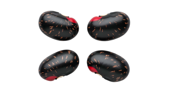 Black and Red Kidney Beans with Speckled Pattern on Transparent Background