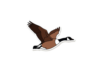 Obraz premium A detailed illustration of a Canada goose in flight, showcasing its brown plumage and distinctive white chin strap