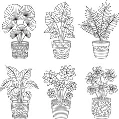 Collection of six detailed handdrawn potted houseplants in patterned pots black and white line art.