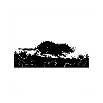 Black Silhouette Of A Shrew In The Grass
