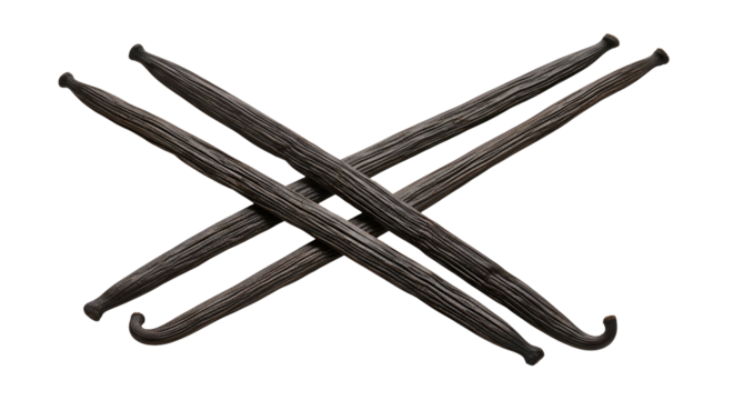 Dark Brown Vanilla Beans Crossed on Transparent Background