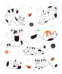 Cats playing with toys and ball of yarn, sleeping, stretching, sitting, lying, relaxing. Cute purebred kittens in different poses