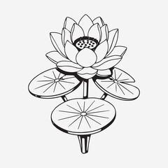 Fototapeta premium flower 8.eps