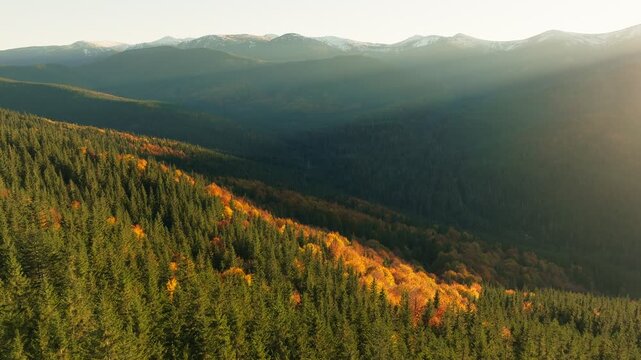 Aerial view colorful forest mountain travel scenic morning summer sun