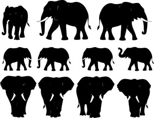 Obraz premium Black Elephant Silhouette Pattern Design