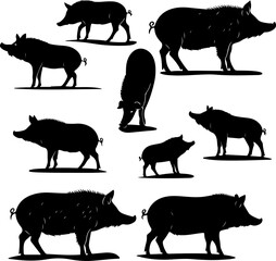 Wild Boar Silhouette Collection