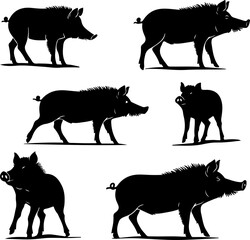 Wild Boar Silhouette Collection
