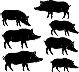 Wild Boar Silhouette Collection