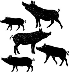 Wild Boar Silhouette Collection