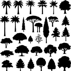 Tree Silhouette Vector Collection