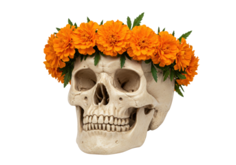 Isolated human skull with orange flowers as a crown, Dia de los Muertos decoration