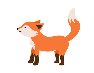 Funny cartoon fox cub. Vector illustration of a forest funny fox. Isolated on a white background.