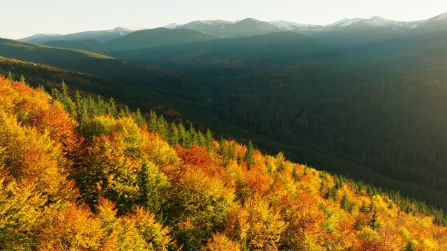 Autumn mountains forest travel nature view beautiful drone