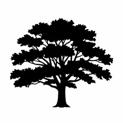 Silhouette Detailed Deciduous Tree Illustration Lush Foliage Nature Element