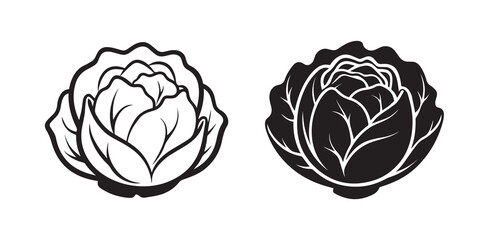 Two distinctive cabbage vegetable illustrations silhouette outline