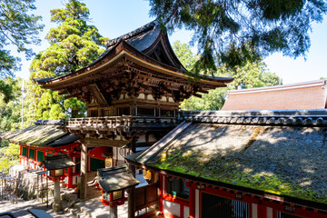 Fototapeta premium 【奈良県】天理市 石上神宮 (2025/10/09 撮影)