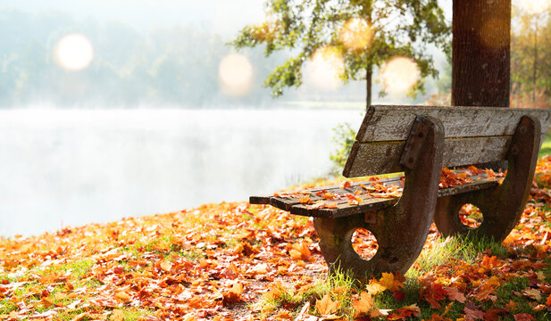 Peaceful bench by a lake with rising mist in a colorful autumn forest. Peaceful autumn landscape early in morning bathed in soft  sunlight with golden bokeh.