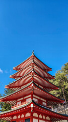 Fototapeta premium The Chureito Pagoda in Arakurasan Sengen Park and Mount Fuji seen behind it