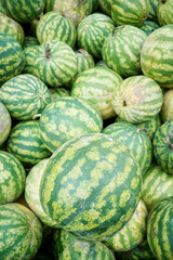 Freshly harvested organic watermelons, selective focus.