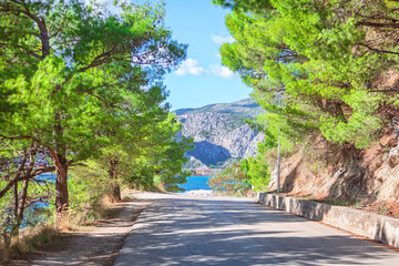 Scenic coastal road in Croatia. The Jadranska magistrala is a winding road flanked by lush trees, with a view of the Adriatic Sea and rocky mountains