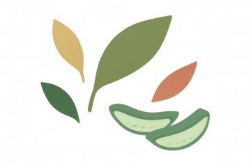 Aloe vera plant cutting slices with natural leaves for cosmetic and health products transparent background