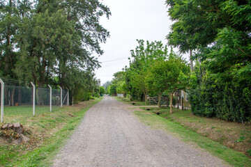 path in the park