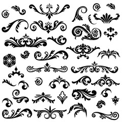 Graphic elements for vector design. Swirl vintage elements decorative illustration. 