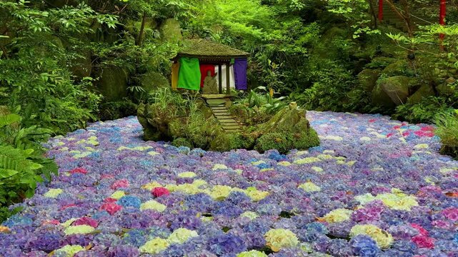 南蔵院のアジサイ池