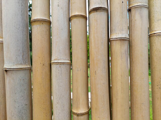 A close-up, full-frame view of thick, vertically aligned bamboo poles, forming a natural, sustainable, and textured fence or wall panel. Ideal for design and nature themes.