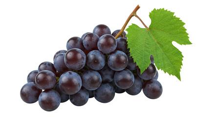 Obraz premium Fresh Black Grapes with Green Leaf isolated on Black Background