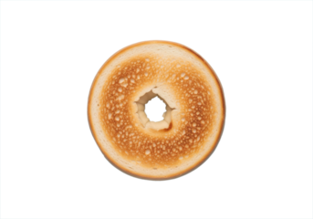 Plain toasted bagel slice with golden brown crust cross section.