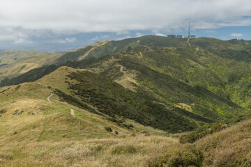 Obraz premium ニュージーランド ウェリントンのスカイライン・ウォークウェイから見えるマウント・カウカウのラジオ塔