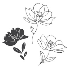 Minimalist Boho Flowers Vector Set