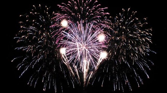 Fireworks bursting in dark night sky during new year celebration. Animated sequence of colorful pyrotechnics exploding from initial sparks to full displays. Festive holiday animation for party events.