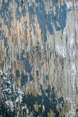 Texture or background of peeling paint. Old painted wooden board.