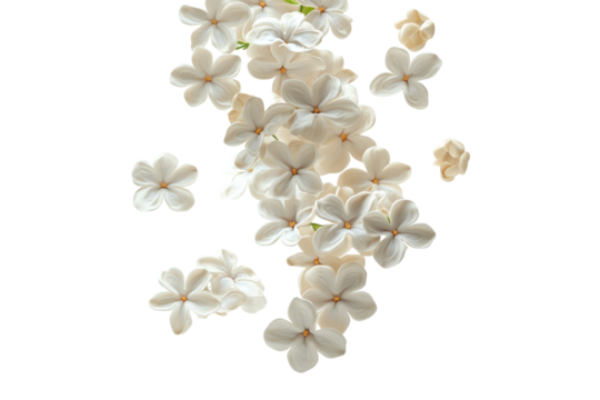 Petal Cascade: A delicate collection of pristine white flower petals gently descend, creating a visually pleasing and ethereal display.